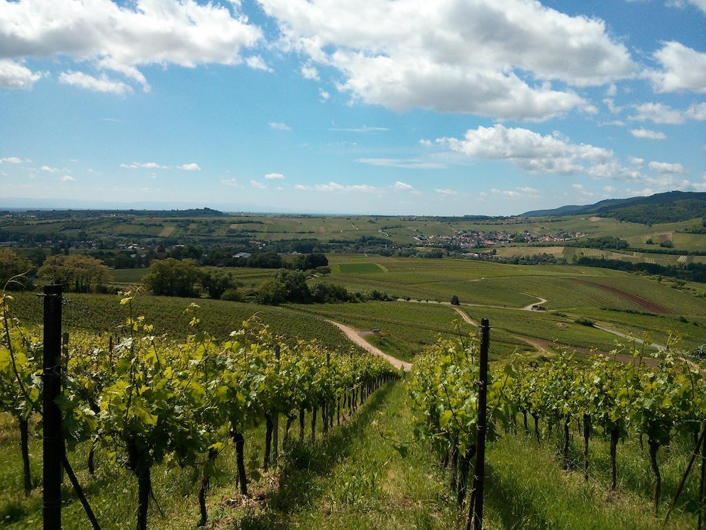 Ferienwohnungen Bella Vita Harthausen  Zewnętrze zdjęcie